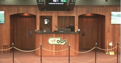 La Venta de junio de OBS busca mantener el buen momento del mercado