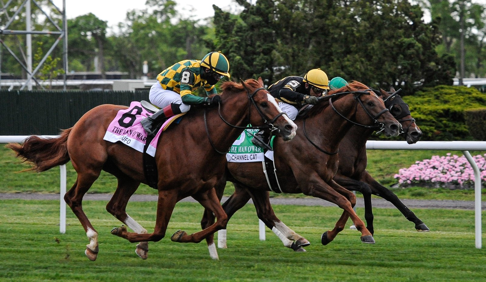 Channel Cat Stallion CHANNEL CAT con el inspirado Johnny V gana el Man O´War – Hipismo.Net