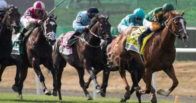 CLASSIC CAUSEWAY llega a Uruguay