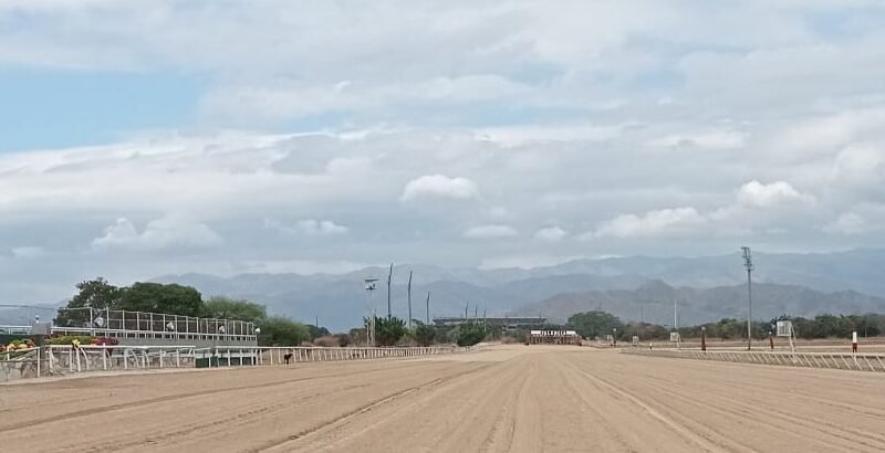 La Racing Secretary Summit ofrecerá datos específicos de cada hipódromo para ayudar a definir el futuro de los programas de carreras La Racing Secretary Summit ofrecerá datos específicos de cada hipódromo para ayudar a definir el futuro de los programas de carreras