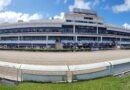 Gulfstream Park, el lugar ideal para los jugadores los lunes