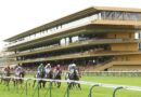 Colocaciones en Longchamp