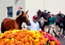 Cuatro inscripciones suplementarias añadidas a la Venta de Noviembre en Fasig-Tipton Cuatro inscripciones suplementarias añadidas a la Venta de Noviembre en Fasig-Tipton