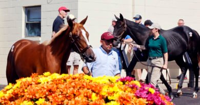 Cuatro inscripciones suplementarias añadidas a la Venta de Noviembre en Fasig-Tipton Cuatro inscripciones suplementarias añadidas a la Venta de Noviembre en Fasig-Tipton
