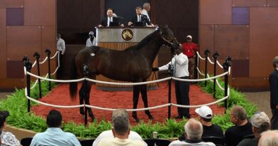 Ya está disponible el catálogo de la 105.ª edición de la Saratoga Sale de Fasig-Tipton