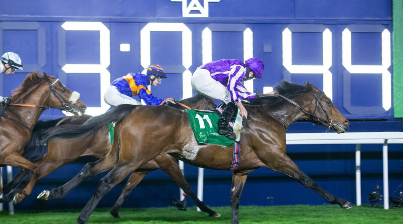 Credit: Jockey Club of Saudi Arabia // Erika Rasmussen