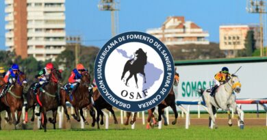 OSAF informa las clasificaciones sudamericanas para la temporada 2025-2026