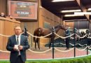 Los resultados del miércoles elevan las ventas totales por encima del récord de $510,5 millones de 2025 Los resultados del miércoles elevan las ventas totales por encima del récord de $510,5 millones de 2025