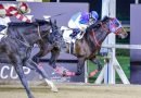 Adiós al campeón japonés ADMIRE MOON Adiós al campeón japonés ADMIRE MOON