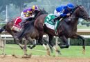 SOVEREIGNTY arranca como favorito 4-1 en el future wager de la Breeders´ Cup Classic