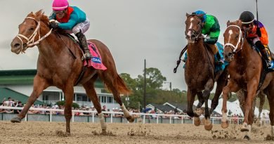 Tampa Bay Downs anuncia su calendario selectivo para 2027