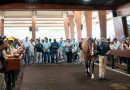 Hijo de FLIGHTLINE al Zedan Racing por $10.500.000 en Ocala