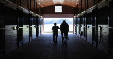 El Pleasant Acres Stallions sigue en ascenso en Florida