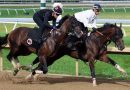 GOLDEN TEMPO ejercita de cara al Belmont Stakes