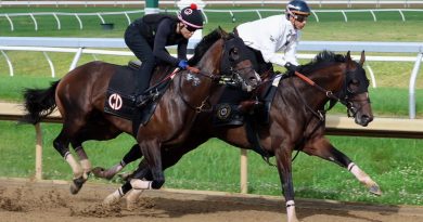 GOLDEN TEMPO ejercita de cara al Belmont Stakes