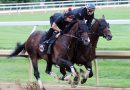 GOLDEN TEMPO realiza su último galope preparatorio antes del Belmont