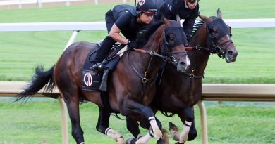 GOLDEN TEMPO realiza su último galope preparatorio antes del Belmont