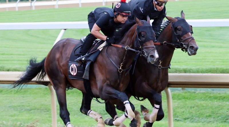 GOLDEN TEMPO realiza su último galope preparatorio antes del Belmont