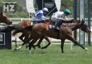 LA LLOSA conquista el Beamonte y corona una gran jornada para la yeguada Rocio
