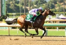 STRONGHOLD intratable en el Triple Bend Stakes