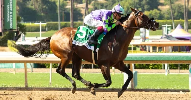 STRONGHOLD intratable en el Triple Bend Stakes
