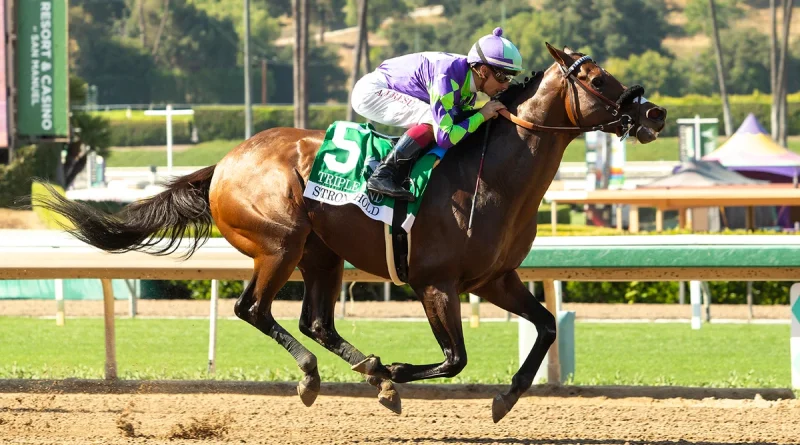 STRONGHOLD intratable en el Triple Bend Stakes