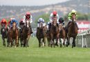 EL GP Beamonte coronará a la gran reina de la generación de tres años en Madrid