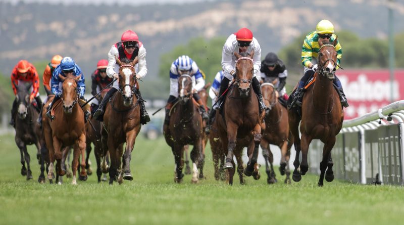 EL GP Beamonte coronará a la gran reina de la generación de tres años en Madrid