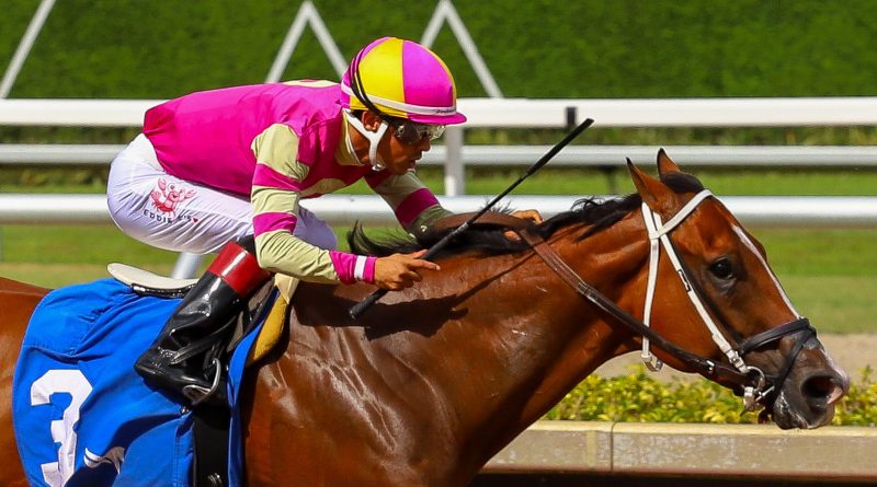 Zayas se reencuentra con el Círculo de Ganadores de Gulfstream