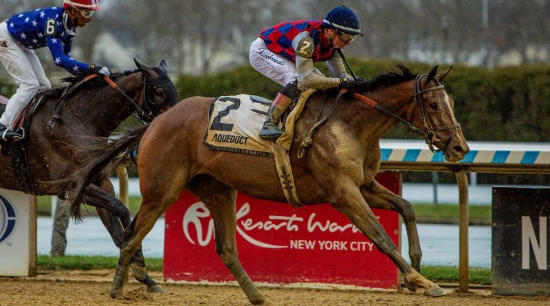 ALWAYS A RUNNER encabeza un parejo lote en el Cotillion Stakes ALWAYS A RUNNER encabeza un parejo lote en el Cotillion Stakes