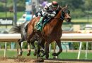 BIG CITY LIGHTS responde en el Thor´s Echo Stakes BIG CITY LIGHTS responde en el Thor´s Echo Stakes
