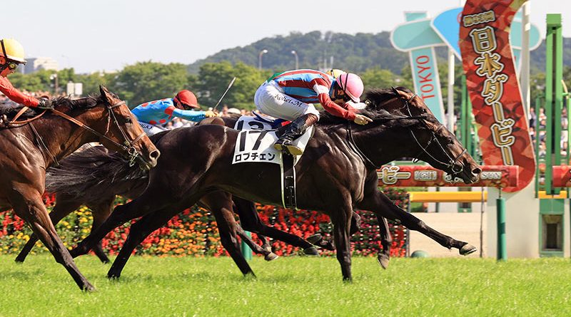 LOCVEN se pone a una de la Triple Corona japonesa