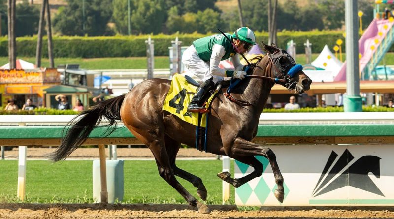 MOHAVEN supera los cuatro codos para ganar el Melair Stakes MOHAVEN supera los cuatro codos para ganar el Melair Stakes