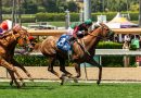 GRAND SLAM SMILE no falla en el Fran´s Valentine Stakes GRAND SLAM SMILE no falla en el Fran´s Valentine Stakes