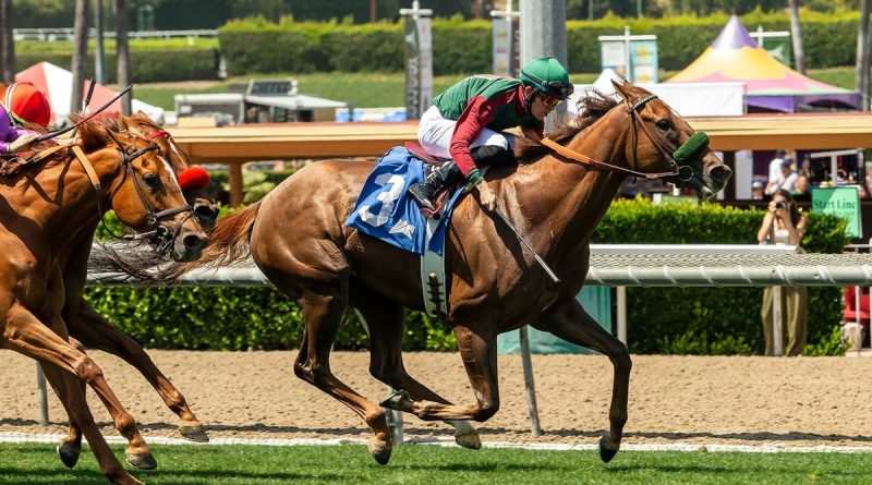 GRAND SLAM SMILE no falla en el Fran´s Valentine Stakes GRAND SLAM SMILE no falla en el Fran´s Valentine Stakes