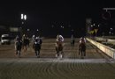 Brillante fiesta del turf nacional en Maroñas, SI SEÑOR obtuvo la Campeones Classic