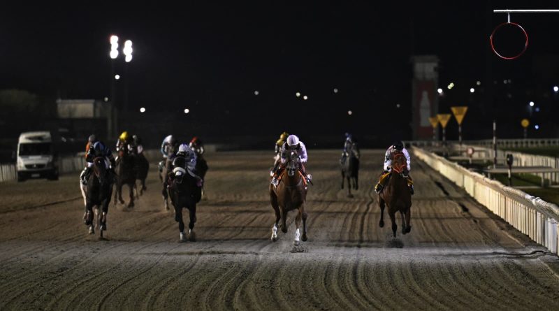 Brillante fiesta del turf nacional en Maroñas, SI SEÑOR obtuvo la Campeones Classic