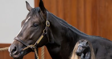 Hijo de MEDAGLIA D´ORO encabeza la última sesión mientras la venta de junio de OBS registra cifras récord