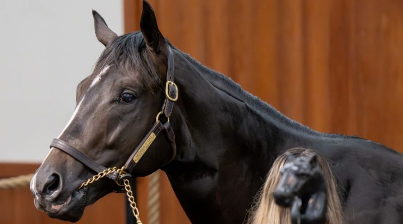 Hijo de MEDAGLIA D´ORO encabeza la última sesión mientras la venta de junio de OBS registra cifras récord