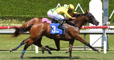 CELTIC DISPUTE, lista para el desafío del Queen Mary en Royal Ascot sin importar el clima CELTIC DISPUTE, lista para el desafío del Queen Mary en Royal Ascot sin importar el clima