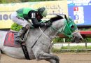 BATEADOR se impuso en la Copa Gobernador