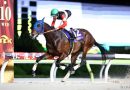 FINGER mantiene su invicto en el Tokyo Derby y queda a un paso de hacer historia