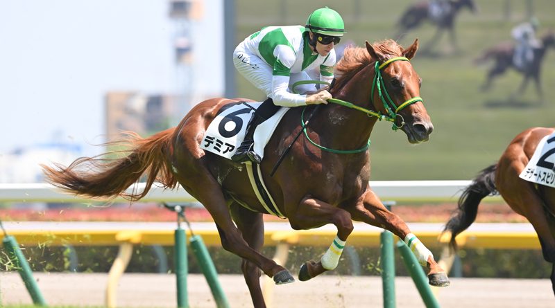 Primera victoria del semental FLIGHTLINE: Debut triunfal de DEMIAN en Tokio