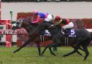MEISHO TABARU emula a su padre GOLD SHIP en Hanshin