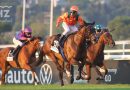 El Gran Premio de Madrid coronará al rey del turf español