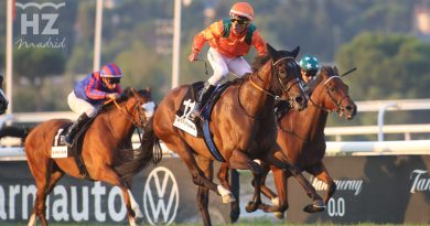 El Gran Premio de Madrid coronará al rey del turf español