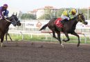 DOÑA PERFECTA conquista el Clásico Temístocles Díaz Q. y toma la cima en la ruta hacia la Copa Dama del Caribe