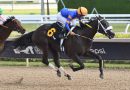 INDY BAY parte con ventaja en el Musical Romance