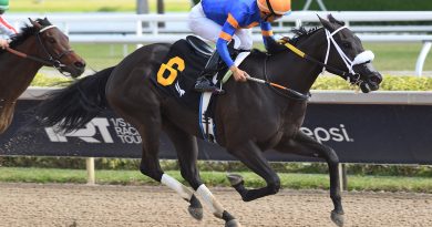 INDY BAY parte con ventaja en el Musical Romance
