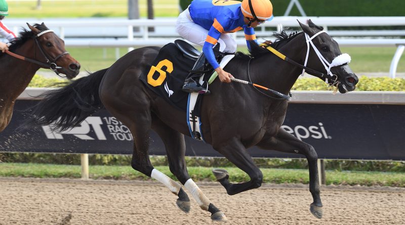 INDY BAY parte con ventaja en el Musical Romance